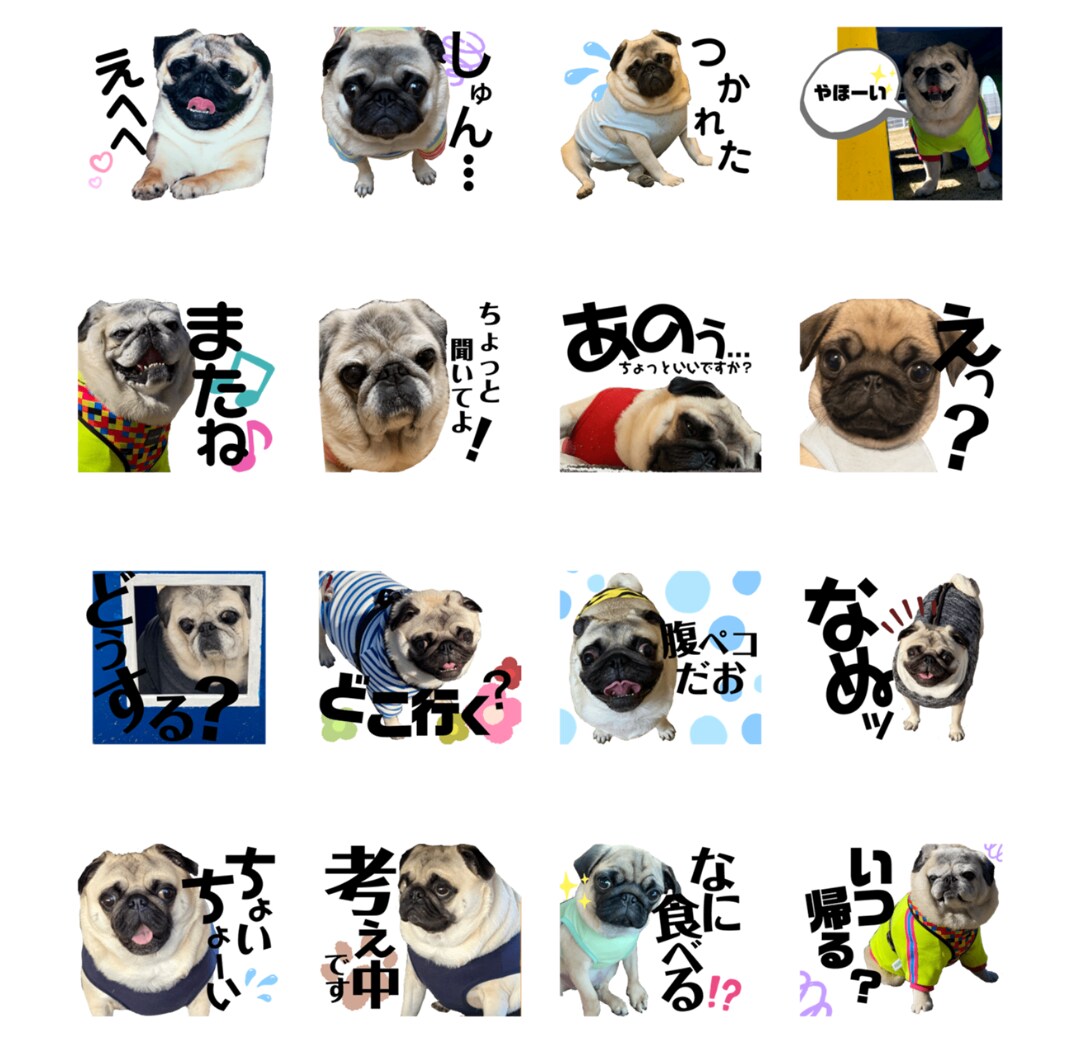 お好きな写真でLINEスタンプを作成します ペットや思い出の景色などをLINEスタンプにしませんか？ イメージ2