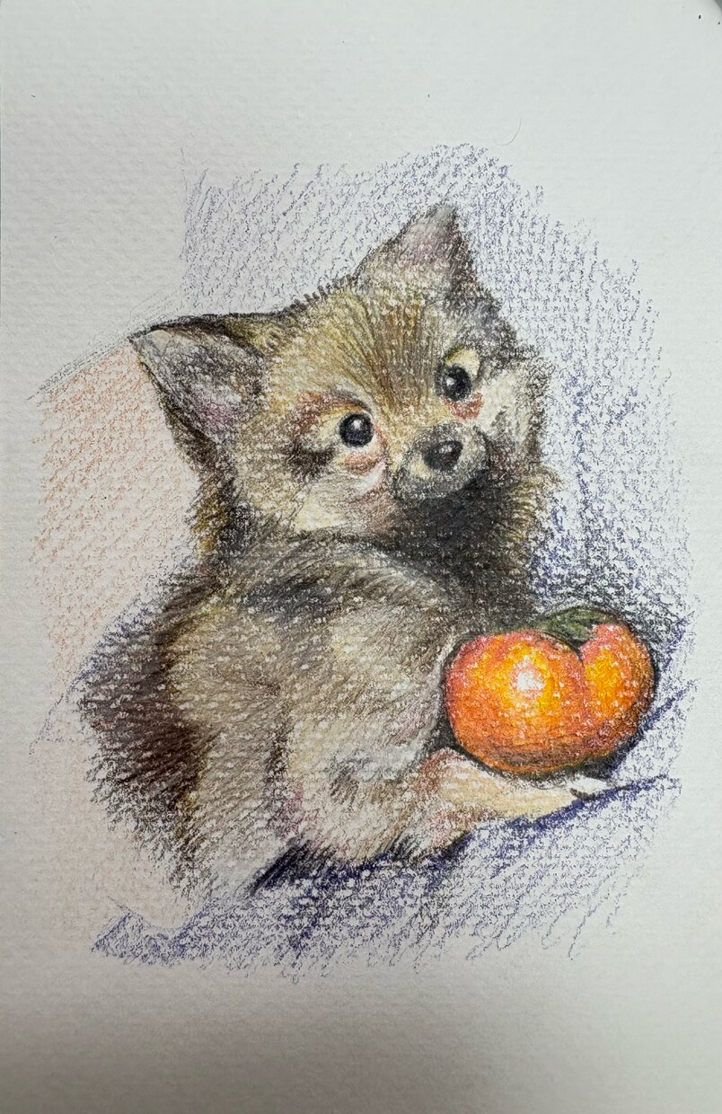 色鉛筆で描いたペットの肖像画を原画でお届けします 犬・猫・鳥・爬虫類・魚類・昆虫など種類は問いません イメージ2