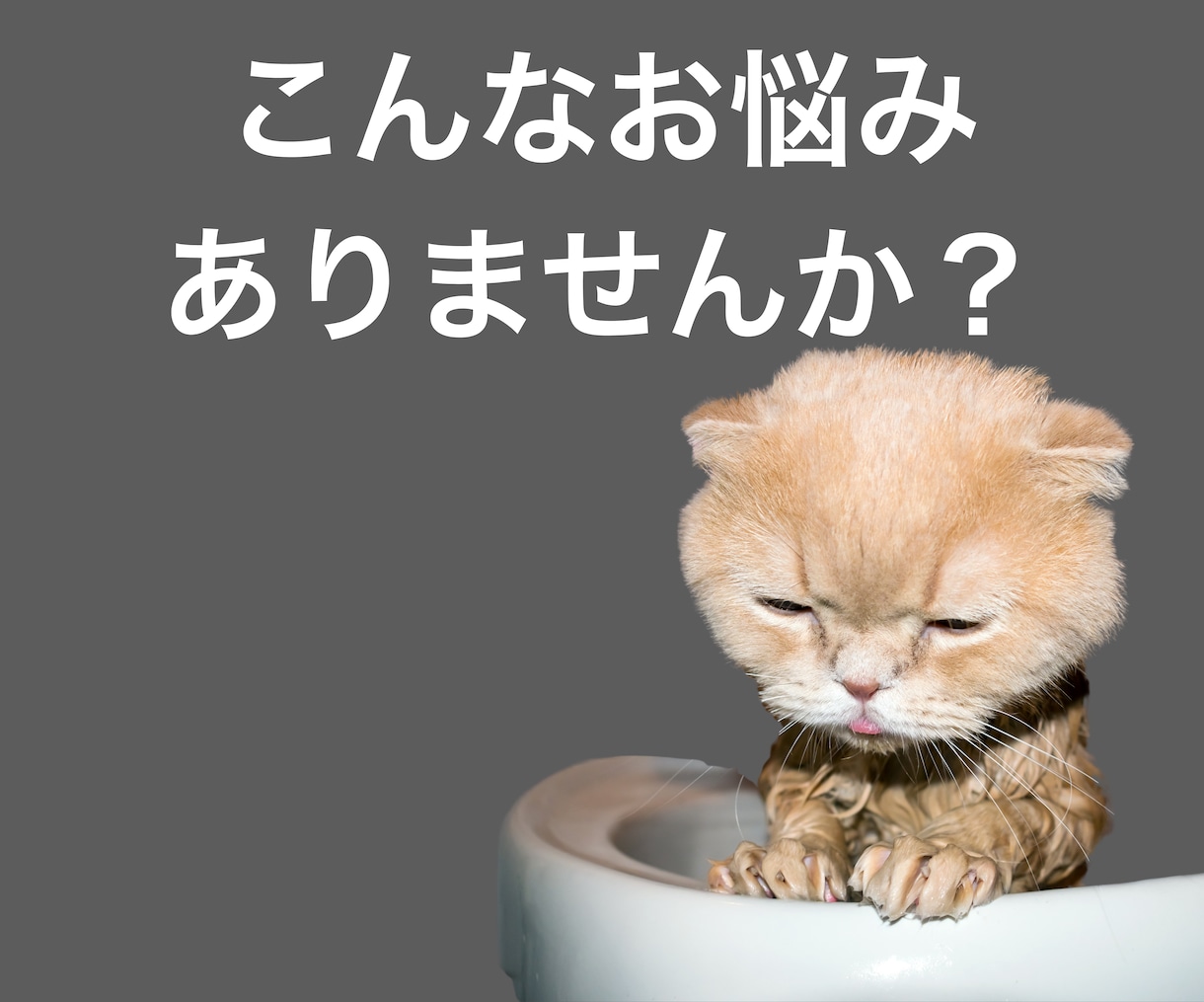 初心者さんも商品を売れるようになるコンサルやります コンテンツ作成に特化！あなただけの商品作成♪資産作りコンサル イメージ2