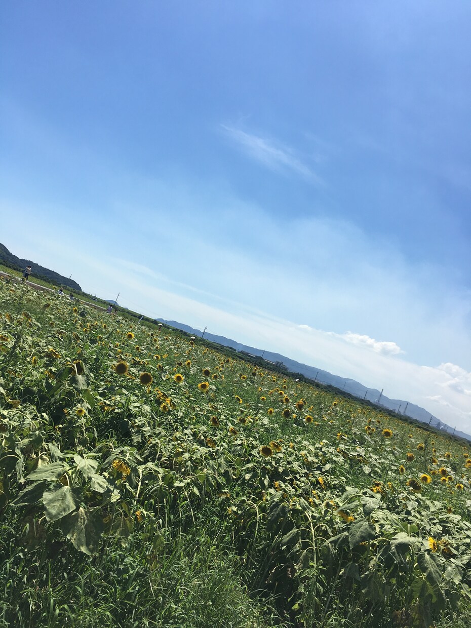 ワンコイン♡心のメンテナンスのお手伝いをいたします 考える毎日に心が疲れてしまったら… イメージ1
