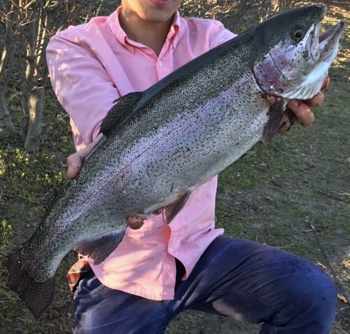 管理釣り場向け初心者向けのアドバイス致します トラウト（ニジマス、イワナ、ヤマメ）を主に専門にしています。 イメージ1