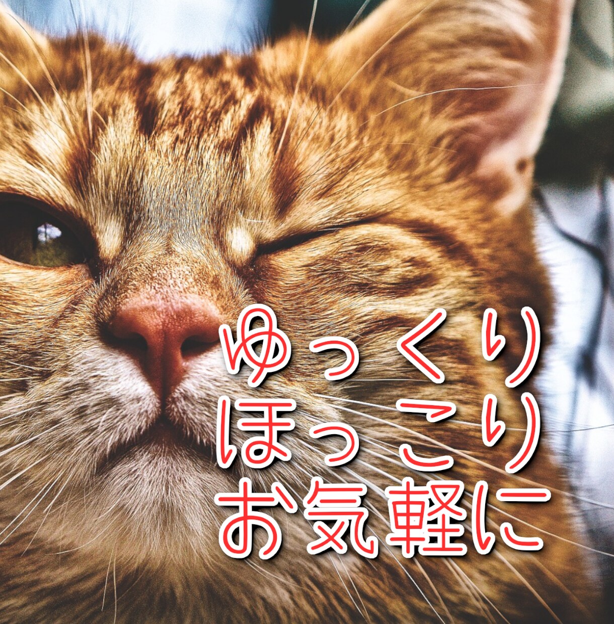 上手に話せなくても大丈夫。優しく丁寧にお聞きします 丁寧に、慎重に、優しく、ゆっくり。 イメージ1