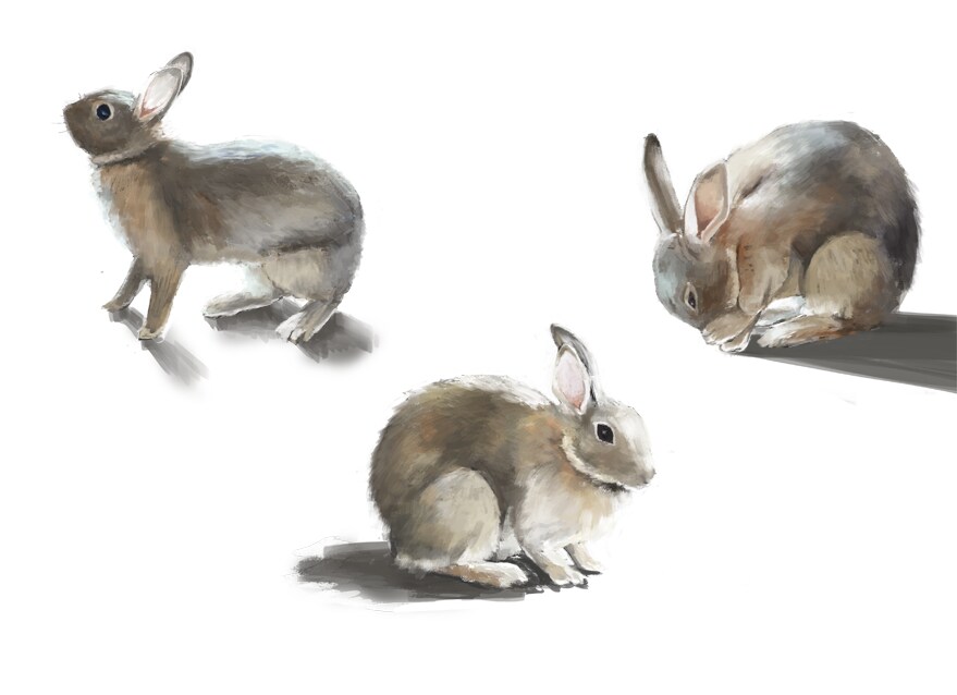 動物たちを厚塗り風に描きます 大切なペットや好きな動物を、厚塗り風のイラストにします イメージ3
