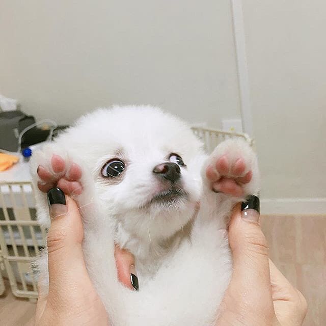 電話が苦手な方、チャットでお話聞きます どんな貴方も受け入れます♡今日あった出来事を聞かせてください イメージ3
