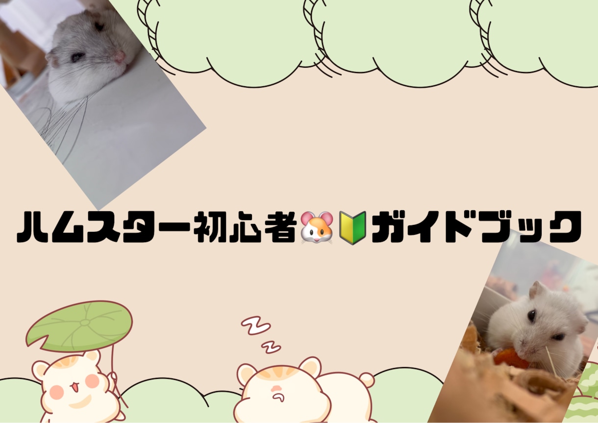 ハムスターの必需品を選びます ハムスター初心者に、必要な物をできるだけ最安値で探します。 イメージ1