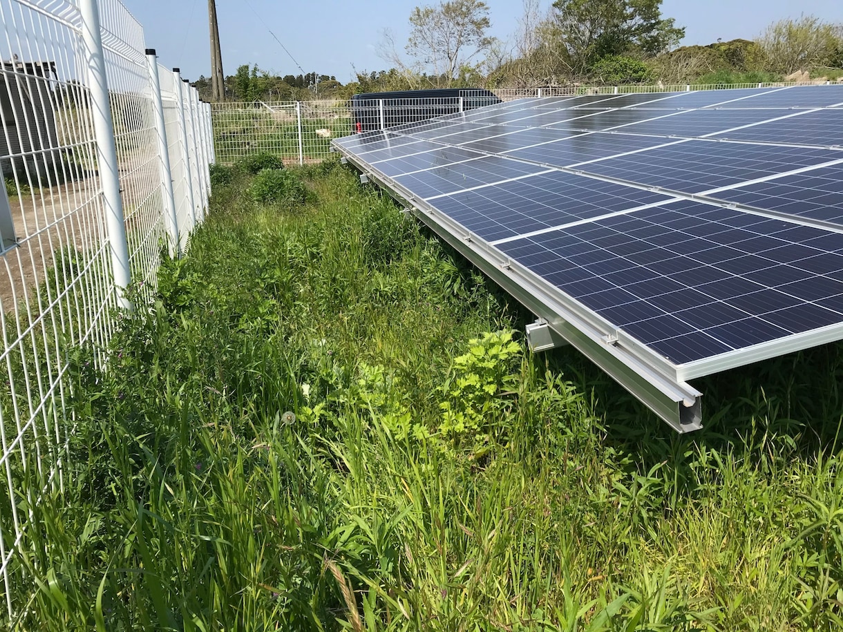 産業用低圧太陽光発電所の除草作業を行います 年3回、都度写真報告付きなので安心です イメージ5