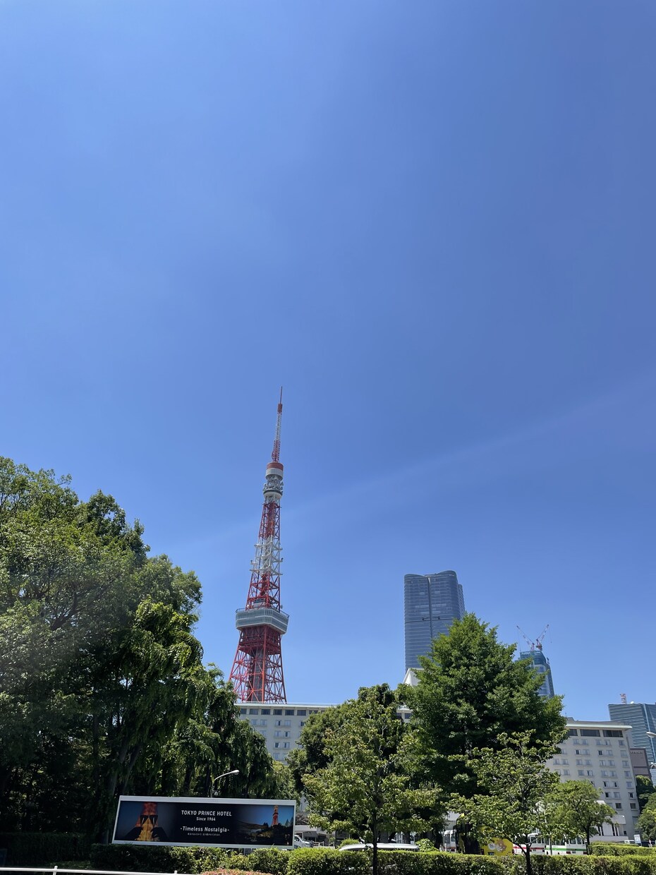 24時間相談受けたりアドバイスします 女心よく分かってて経験豊富なのでなんでも話してみませんか？ イメージ1