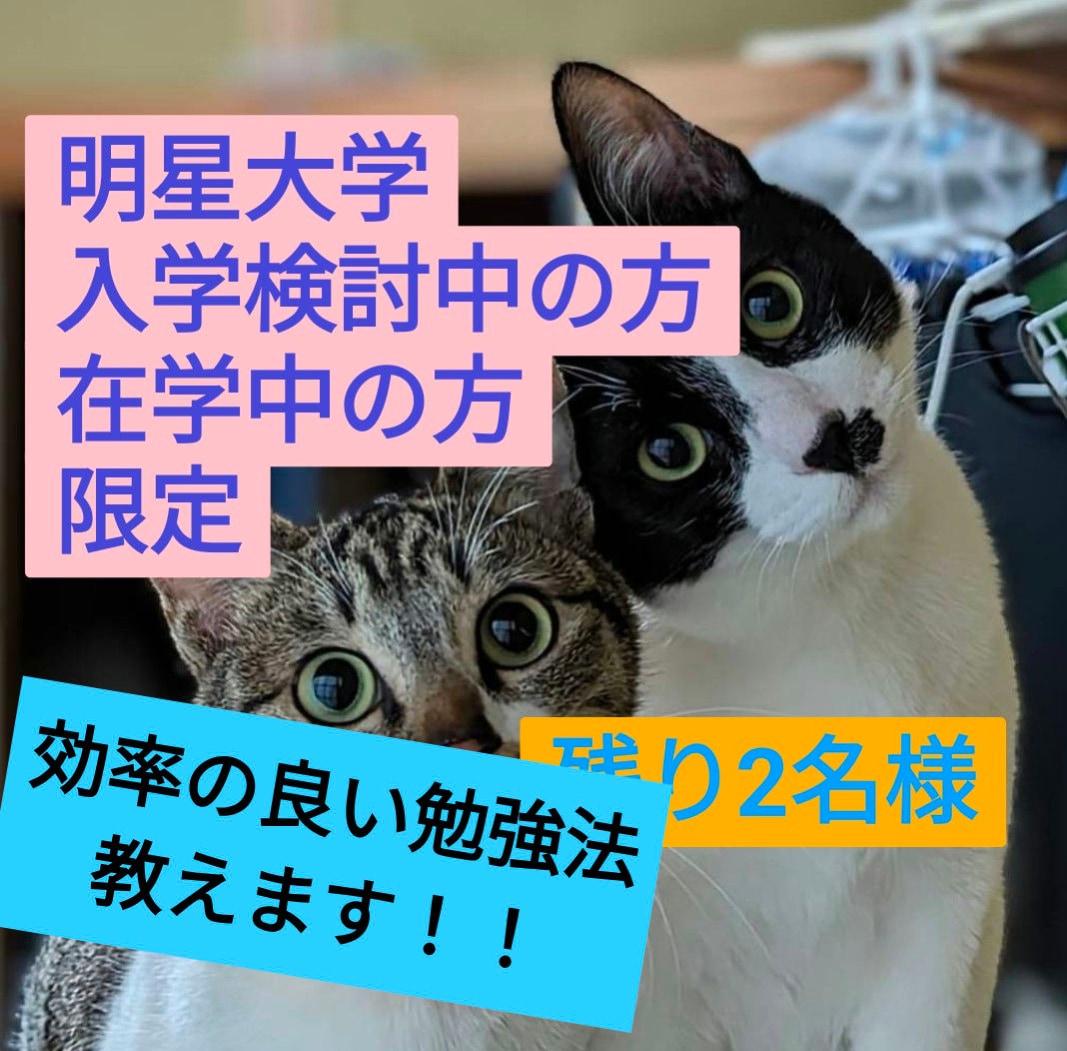 通信大学って、本当に仕事と両立できるの？に答えます 明星大学通信学部へ入学しようか悩んでいる、そこのあなたに！ イメージ1