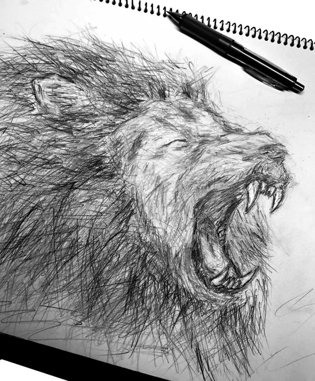 似顔絵やイラスト、全力で描きます 自分の持っている才能を最大限生かせるよう全力で頑張ります！ イメージ5