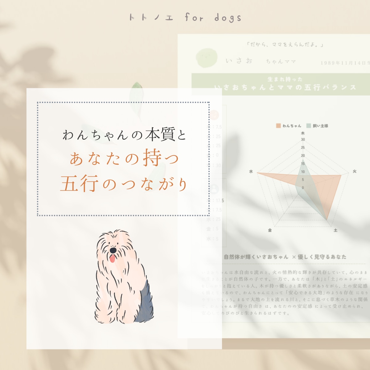 愛犬が、あなたのそばにいる理由をひも解きます 五行ホンシツ鑑定と併せて、ふたりの特別なつながりをお届け イメージ2