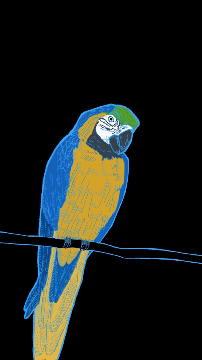 動物、花、人物のイラストを描きます あたたかみのあるイラストをご希望の方ぜひお任せください！ イメージ10