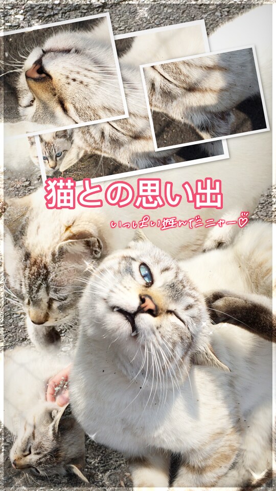 写真加工します 大切な記念日、その日の思い出を一枚の画像として残します イメージ1