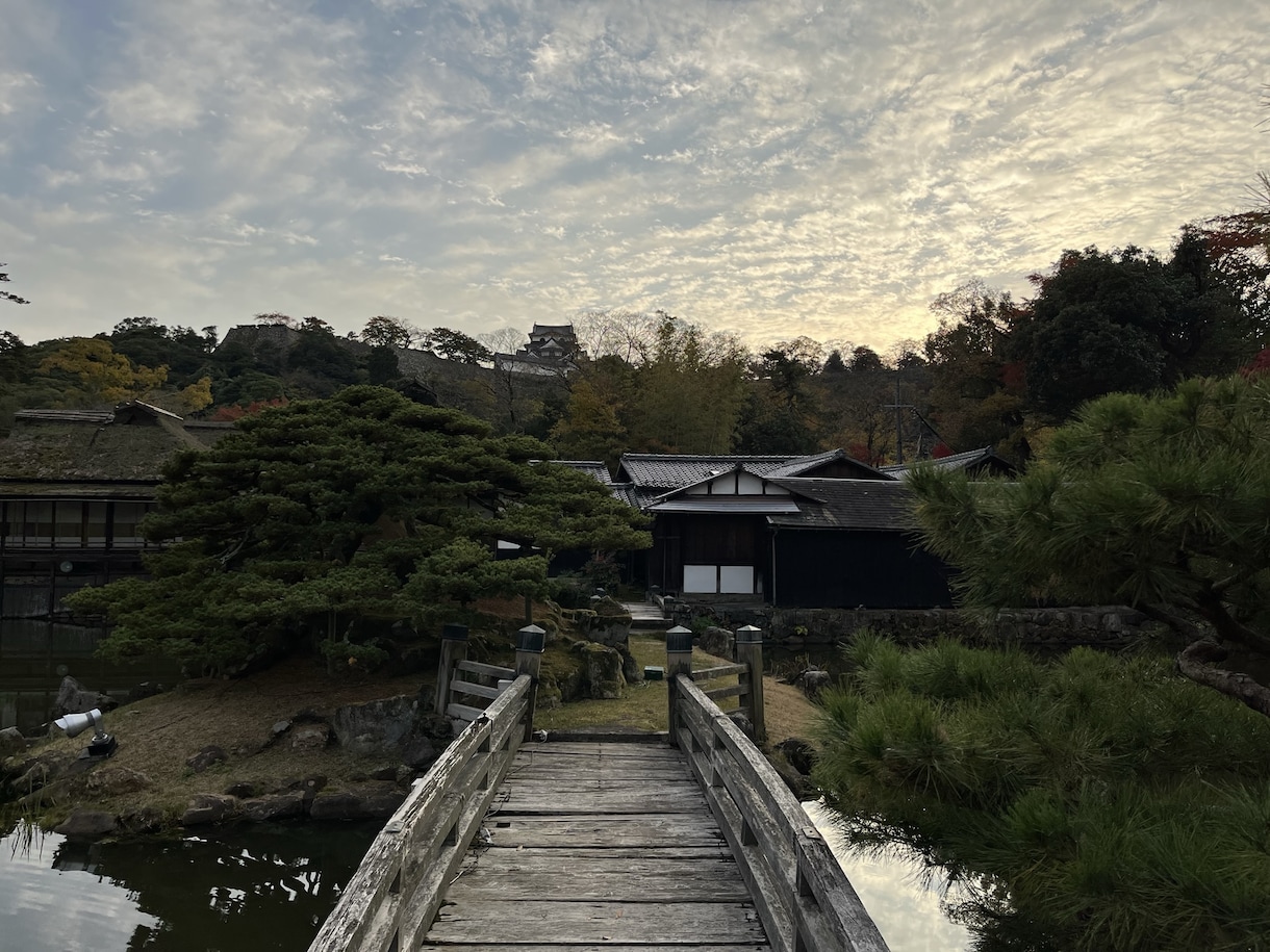 簡単な写真加工や雰囲気のある写真を提供いたします 安価で納得いただける写真を提供出来ればと考えています。 イメージ1