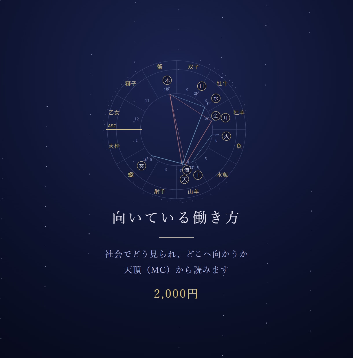 向いている働き方を出生図の天頂から読み解きます 社会でどう見られどこへ向かうか｜ホロスコープ鑑定 イメージ1