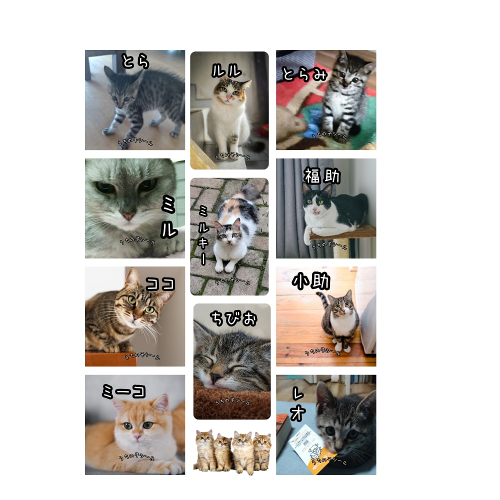 ペット写真でオリジナルシールデザイン作ります ☆お気に入りの写真で世界に一つのシール！ イメージ2