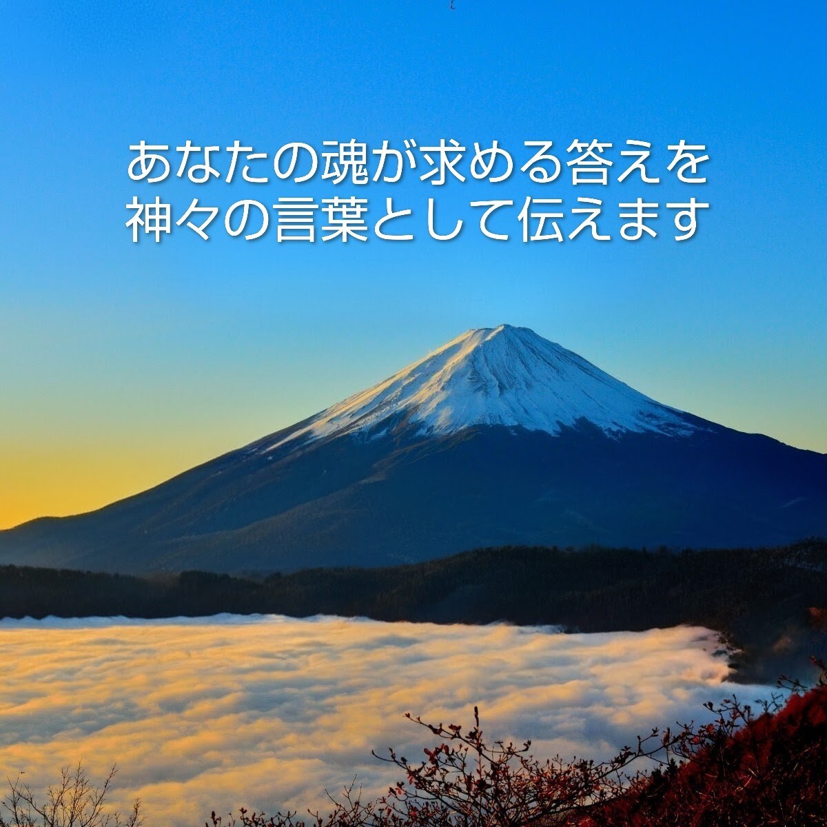 あなたの魂が求める答えを、神々の言葉として伝えます 八百万の神々からの大切なメッセージをリーディング イメージ1