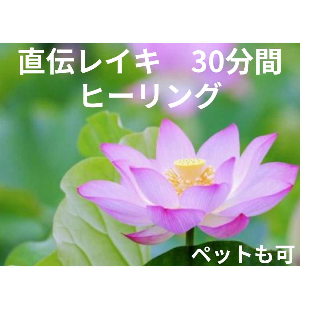 直伝レイキ⭐︎遠隔ヒーリング30分します 癒しの波動を送ります⭐︎心と体を整えます⭐︎ペットも可 イメージ1