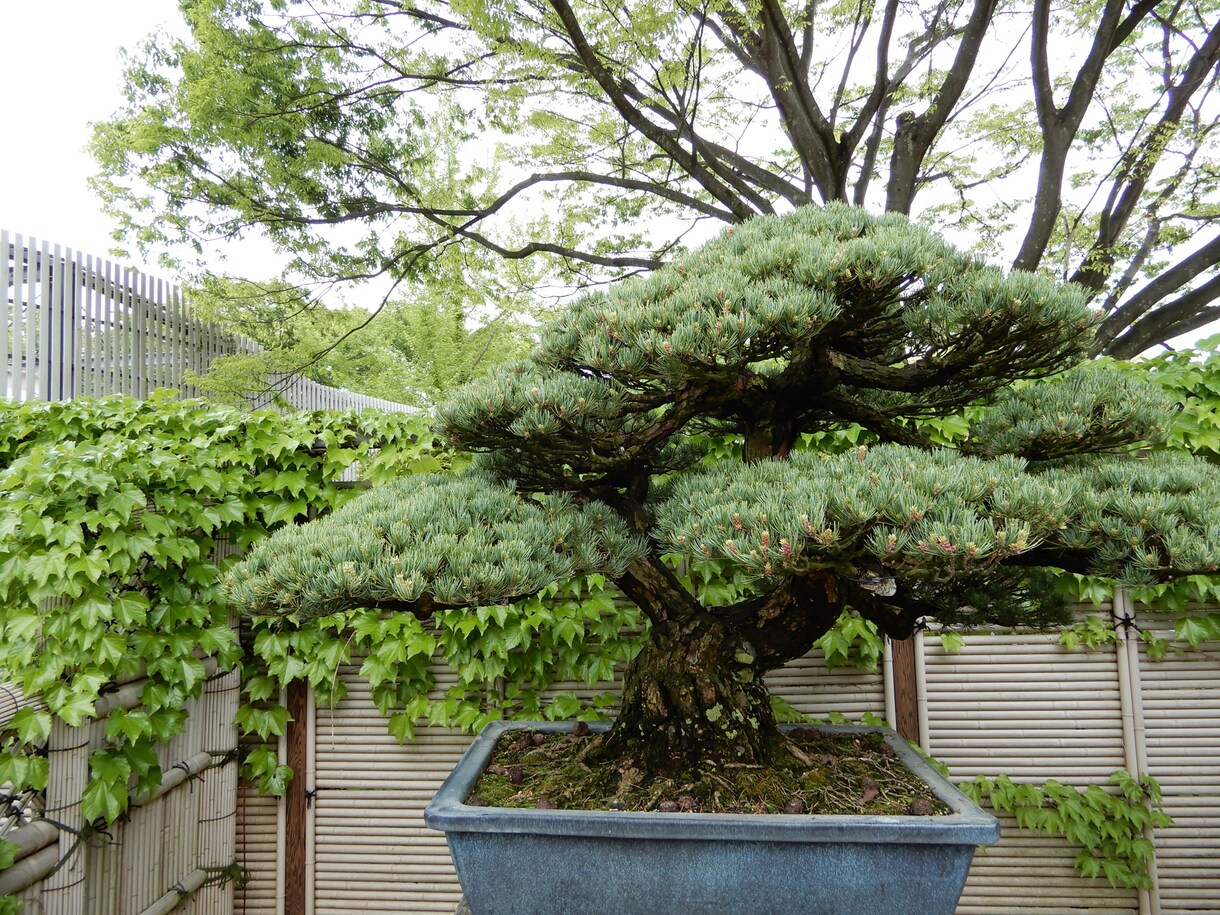 風景写真の構図お教えします 風景写真の構図ならおまかせください！ イメージ2