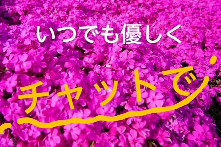 30分集中チャット★傾聴　共感力で笑顔にします リピーターさん近況報告♡仕事　恋愛　育児　介護　老若男女OK イメージ4