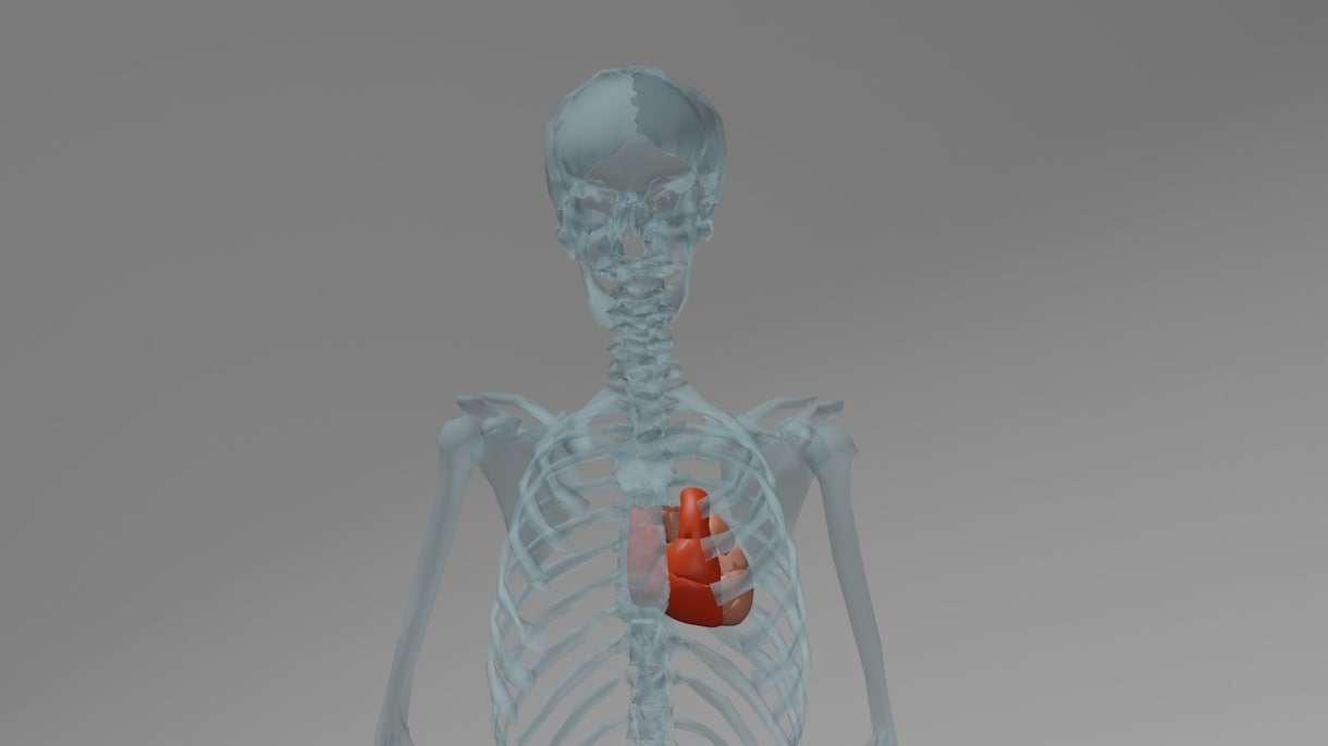 医療系の3D動画を作成します 分かりやすく高級感のある動画を作成します イメージ2