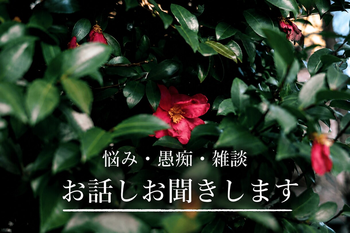愚痴・悩み・雑談  お話しゆっくりお聞きします 愚痴や思っていることを気軽に話してみませんか？ イメージ1
