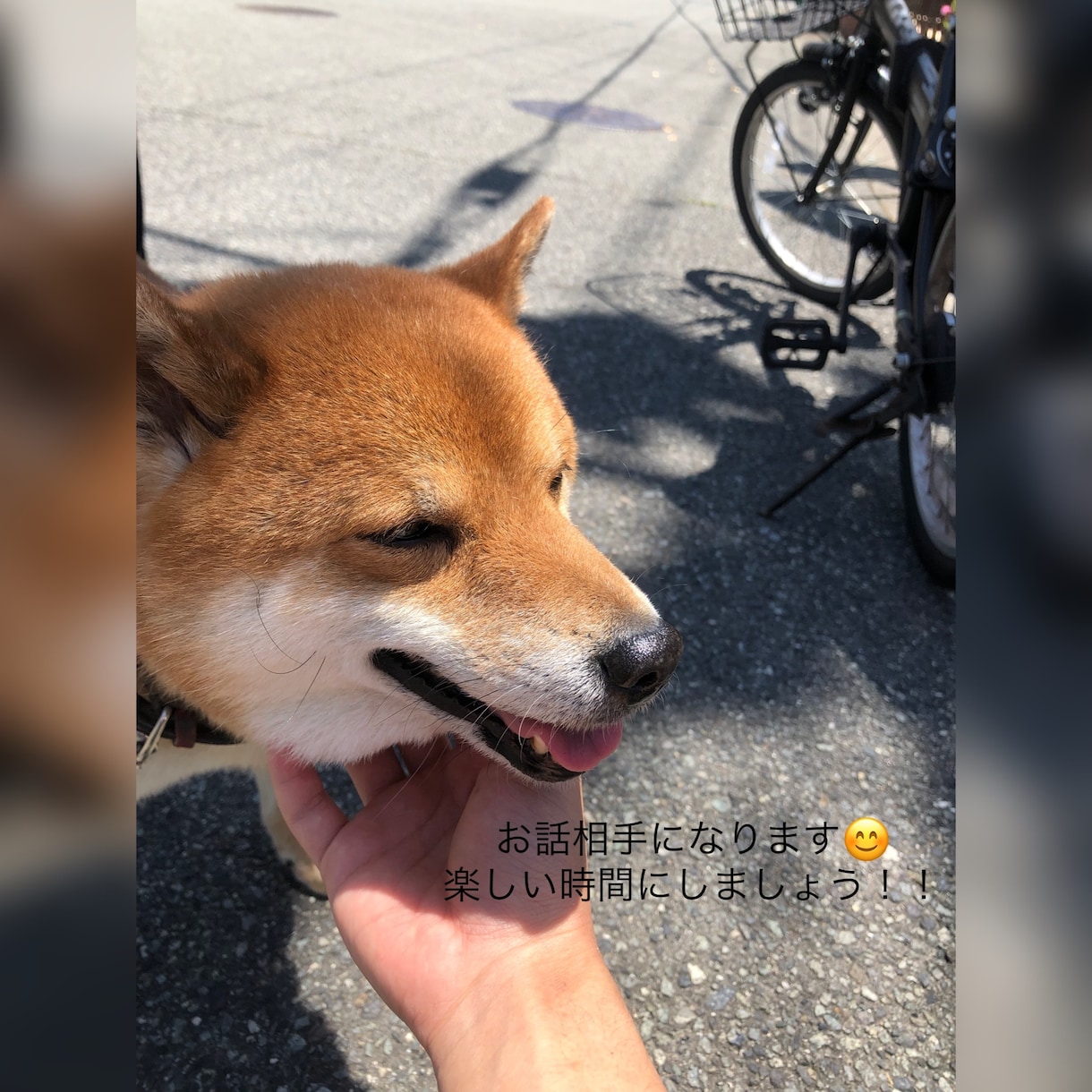 お話相手承ります 楽しい時間を過ごしましょう！！ イメージ1