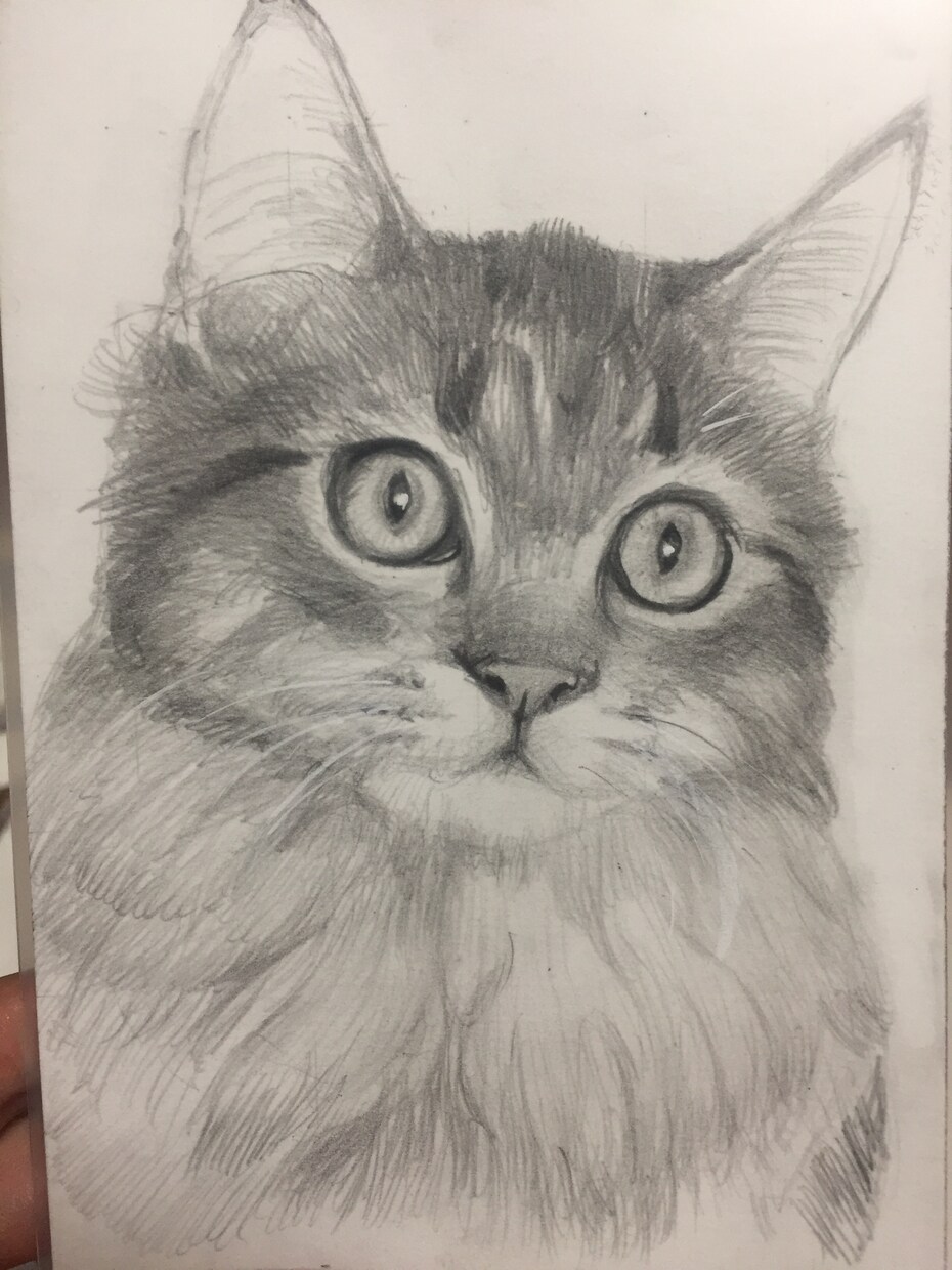 あなたの大事なペットの自画像描きます 大切な家族を一枚の絵にしませんか？ イメージ2