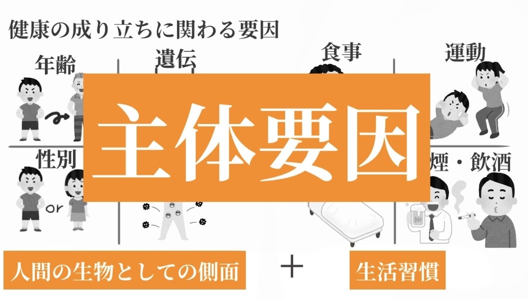 保健体育科の保健の授業、体育のプリント私が作ります あなたの授業の板書、プリント作成時間、無くします！ イメージ6