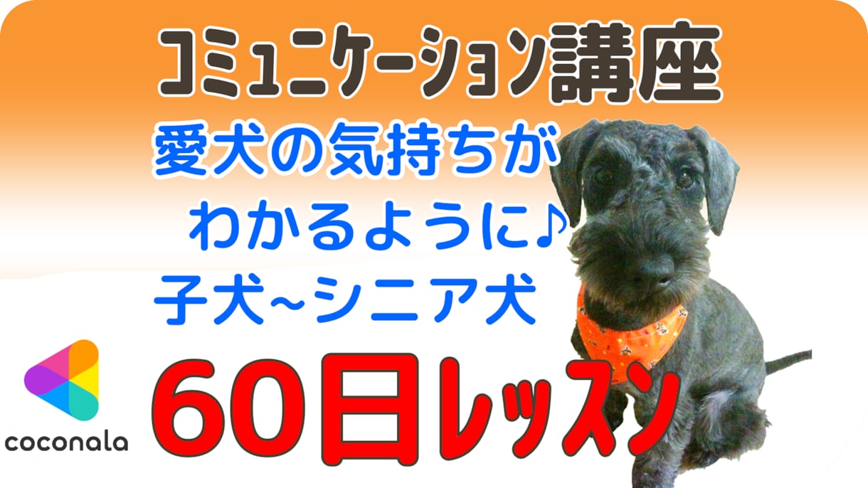 愛犬コミュニケーション講座！60日で基礎が学べます 【お試しあり】愛犬の気持ちがわかるようになる♪ イメージ1