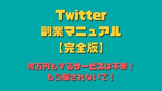 完全版のTwitter副業マニュアル提供します Twitter副業を完全サポート イメージ1