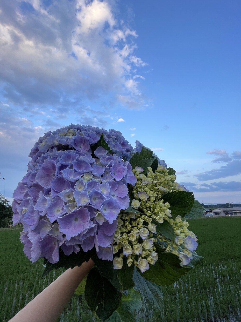 あなたの心に寄り添います 強くならなくていい、あなたは十分強く生きてるはずです。 イメージ1