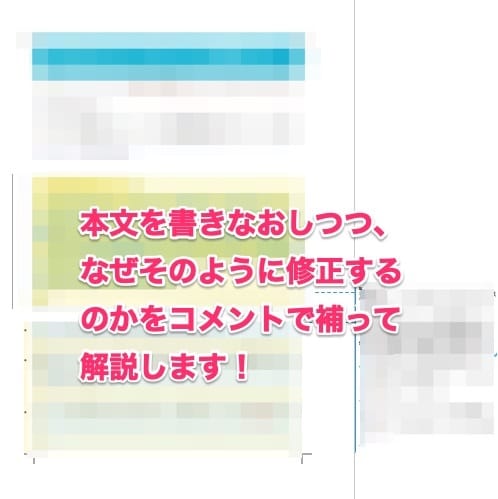 アフィリエイト・ブログ記事の添削・論理的解説します なぜこう変える必要があるのか？加筆修正、的確に優しく解説 イメージ2