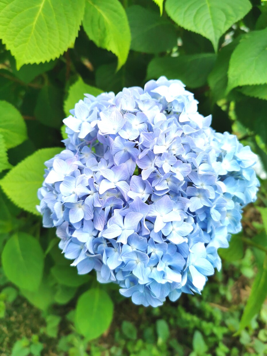 貴方の相談うけたまわります 一緒に考えて前に進む1歩を踏み出しましょう イメージ1