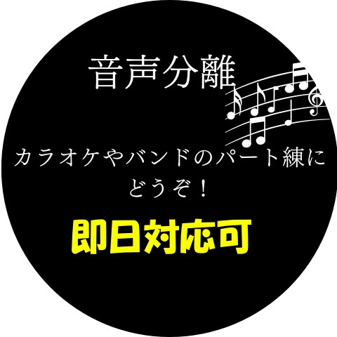 楽曲からボーカルの抽出／除去します 即日納品可（依頼内容による応相談）カラオケ、パート練習用に！ イメージ1