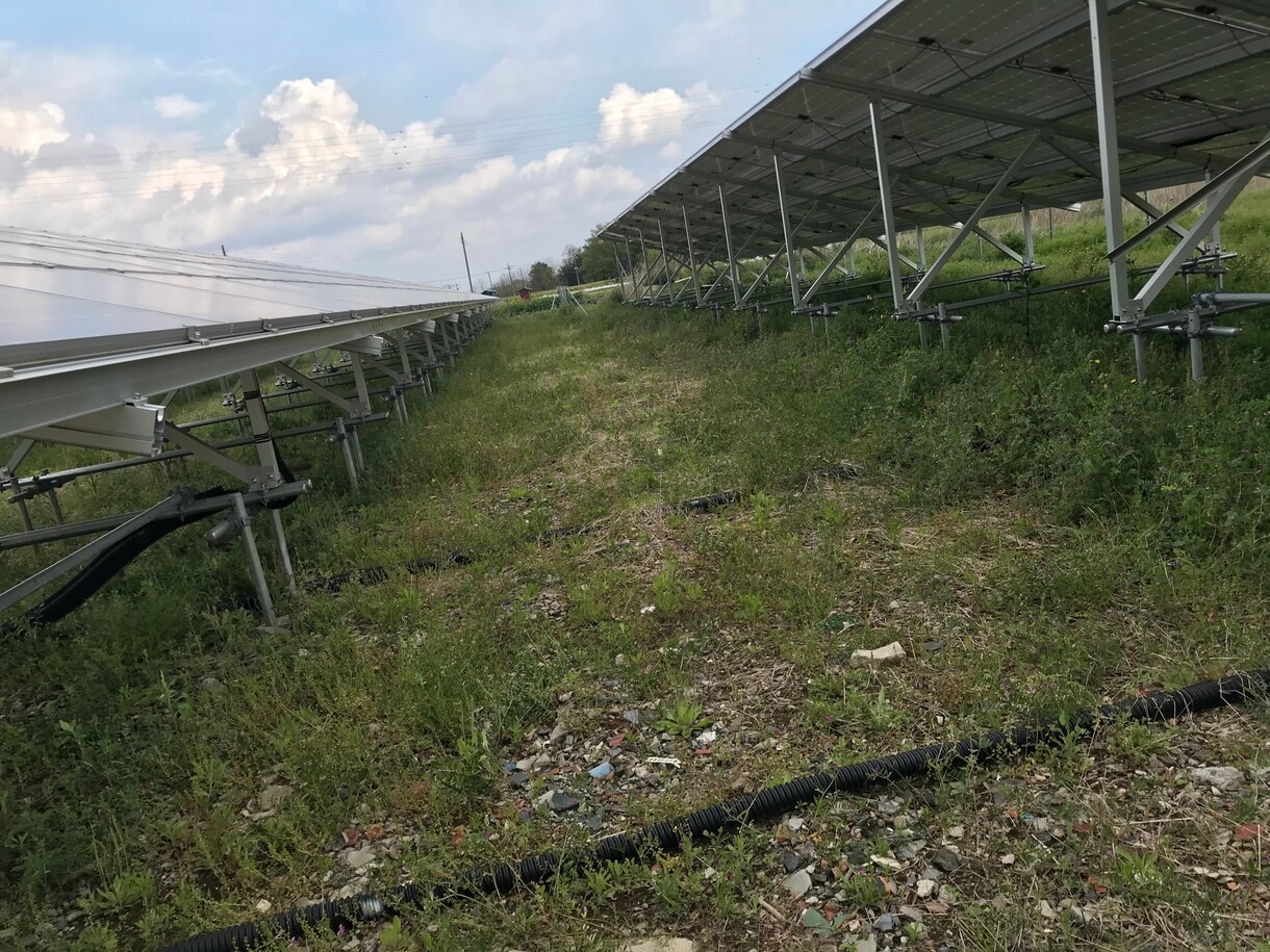 産業用低圧太陽光発電所の除草作業を行います 年3回、都度写真報告付きなので安心です イメージ6