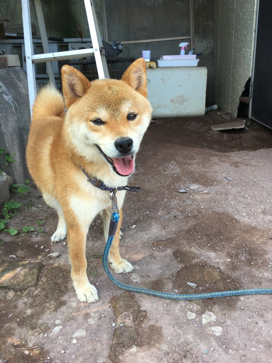 人には言えない性癖、変態のお話し聞きます 人には言えない性の悩み持っている方オススメ。 イメージ1