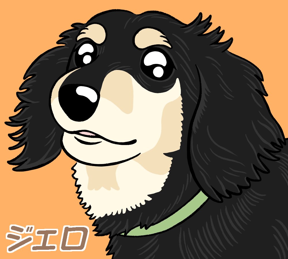 愛しているペットを心を込めて描かせていただきます ☆漫画家の技術を駆使し、マンガタッチで描きます☆ イメージ6