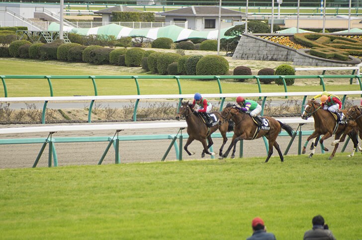 JRAが教えてくれない競馬の基本と穴法則教えます 競馬で勝てない。競馬の裏の基本と穴の法則を知らないからだ！ イメージ1