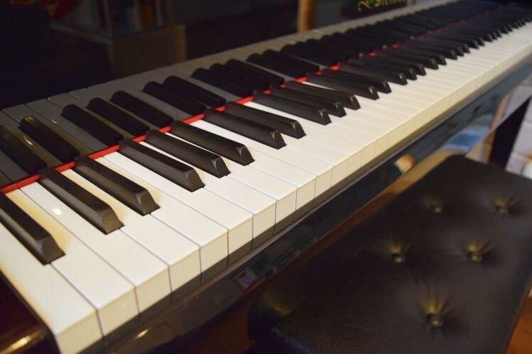 ドレミ・・音符や指番号等を記入します あの曲が弾いてみたい、けれど読めない方！ぜひご利用ください イメージ1