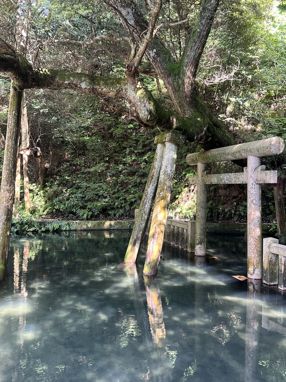 42県旅した私が旅行プランの組み方アドバイスします あなたの理想の旅、見つけます！ イメージ2