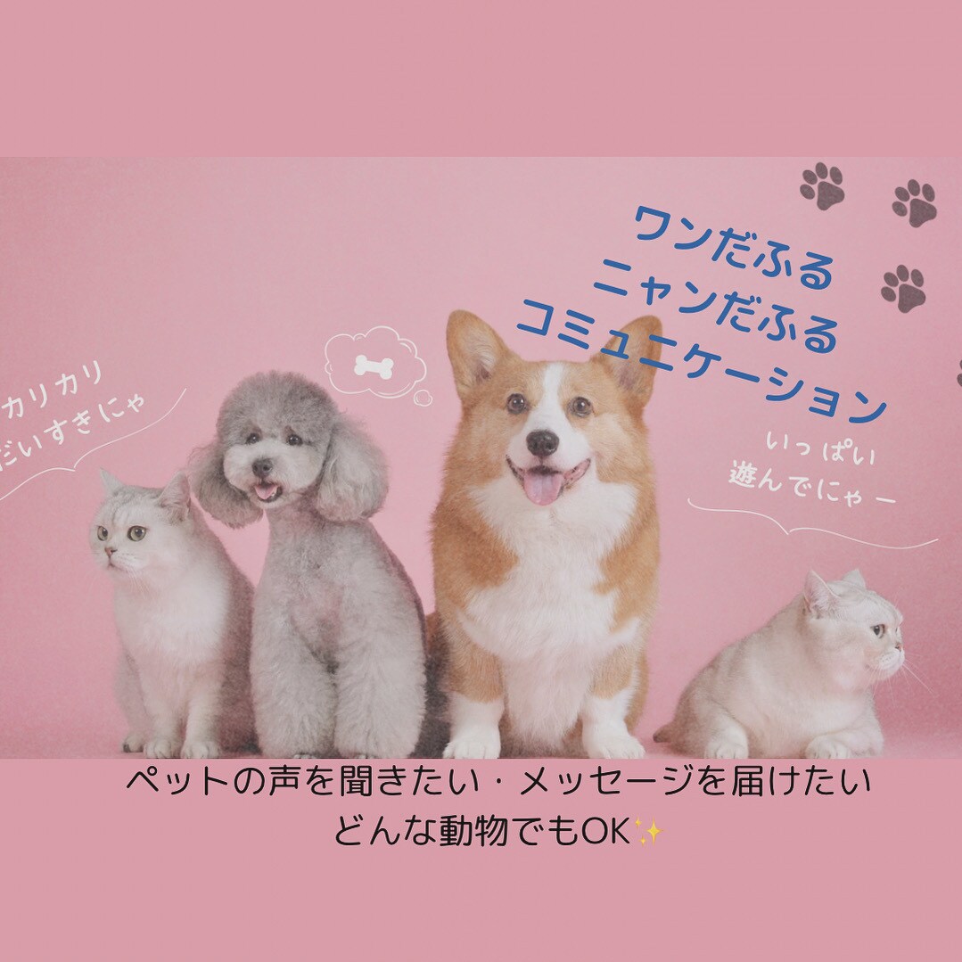 大切なペットの魂と繋がりコミュニケーションします どんな動物もOK！対話し気持ちをお伝えします。お空の子もOK イメージ1