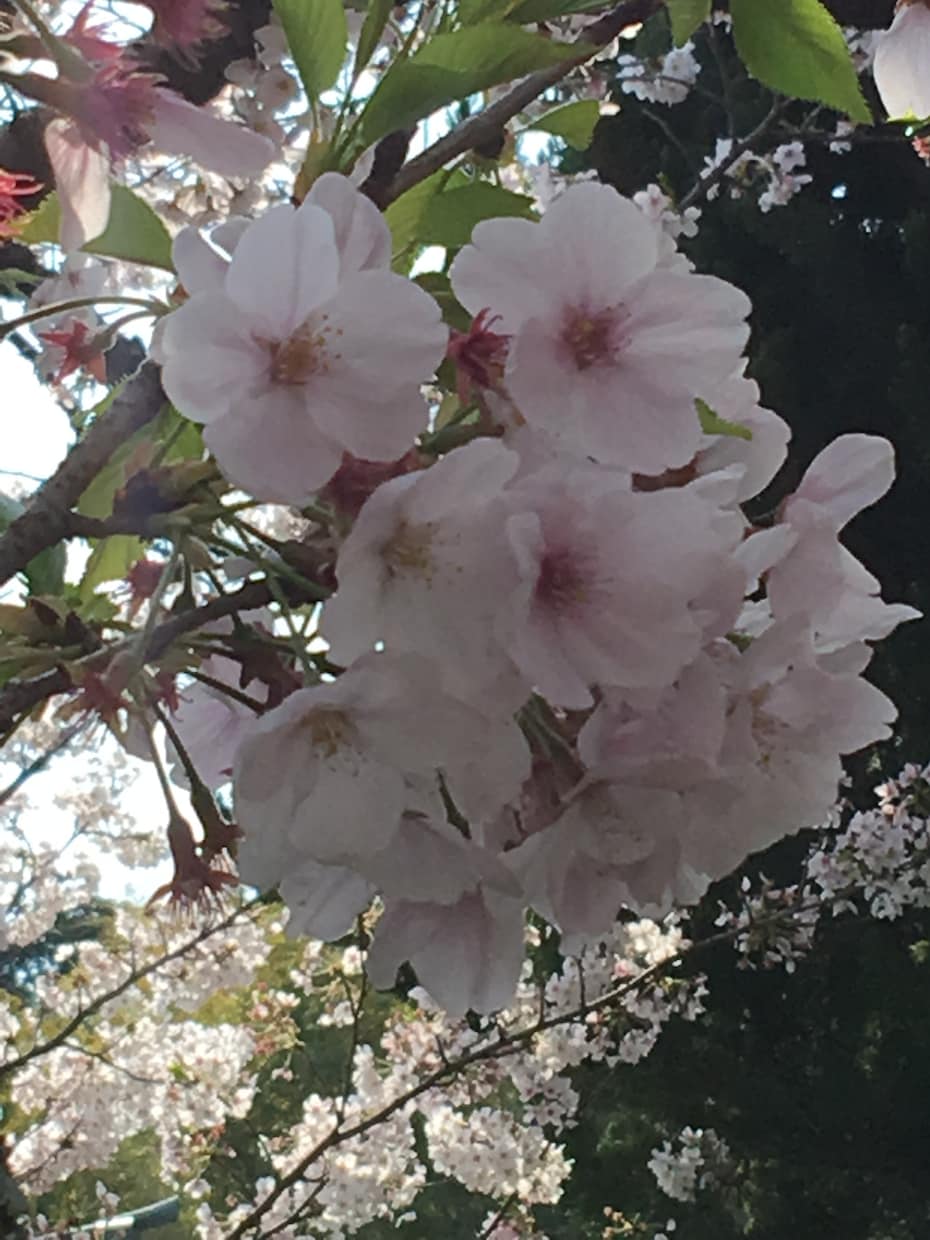 介護、恋愛、お悩み聞きます 心理カウンセラーの資格を持った占い師です悩みに、寄り添います イメージ1