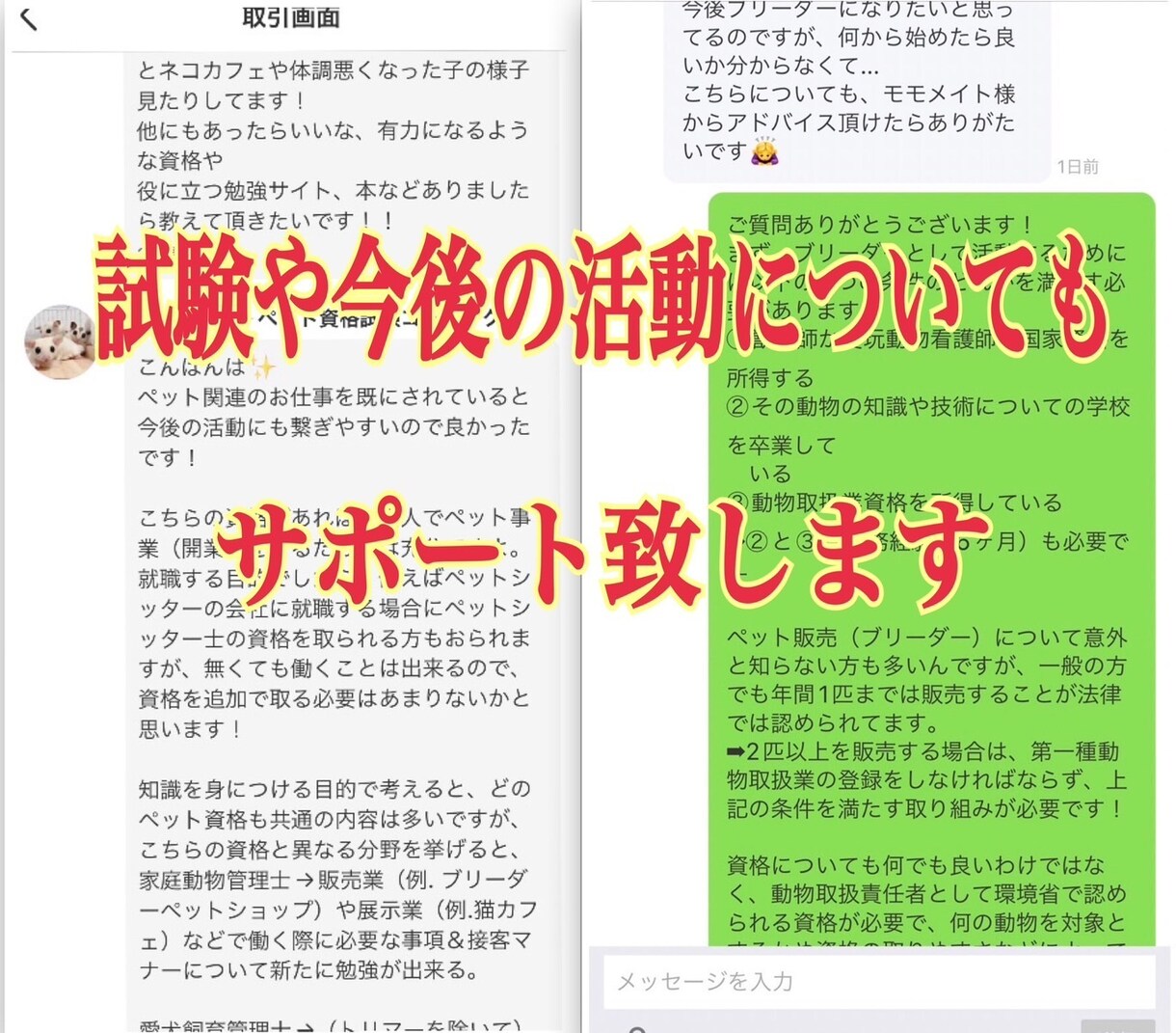愛犬飼育管理士の試験対策まとめ&問題集を提供します 【過去問〜今後の法律改正まで】 イメージ7