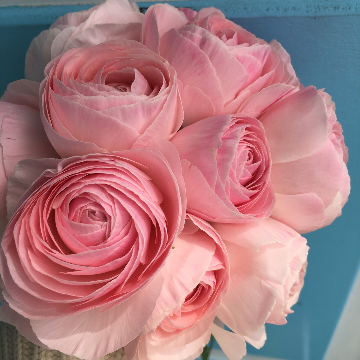 お花と天使からのメッセージをお伝えします 恋愛に悩むあなたへ  これから恋したいあなたへ イメージ2