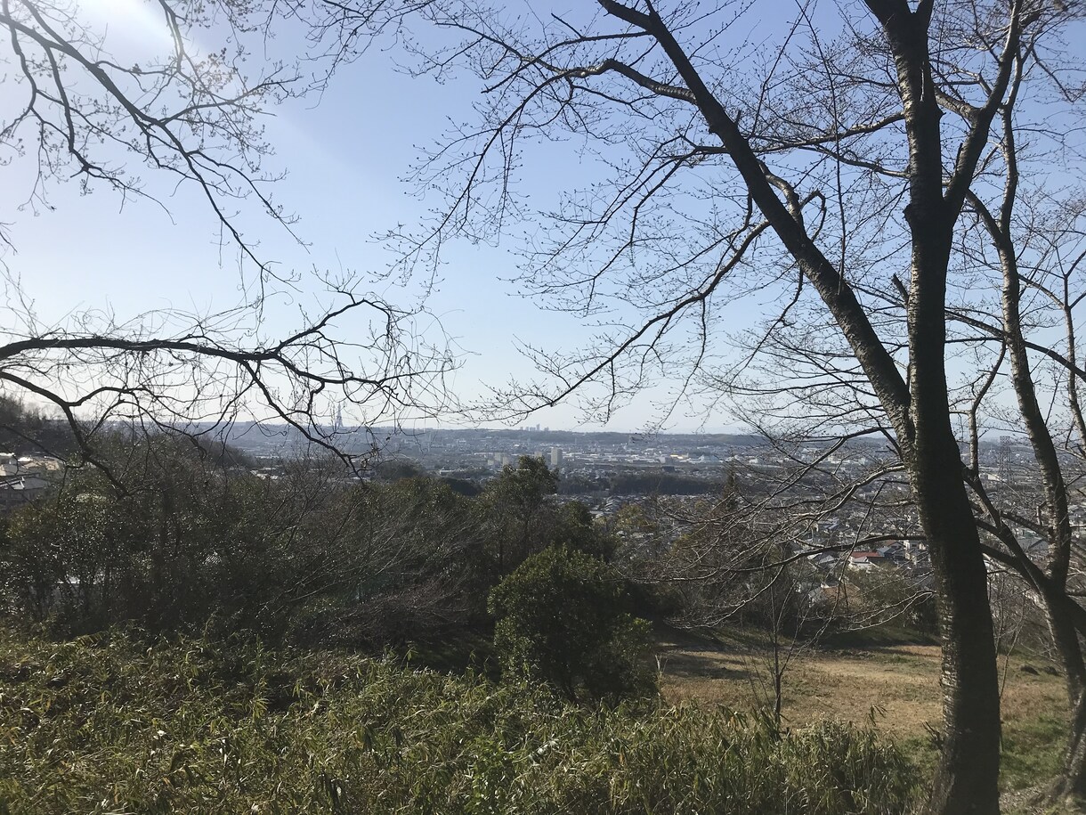 誰にも言えない愚痴や相談なんでも乗ります 約10年のサロンワークでの接客を活かして疲れた心を癒します！ イメージ1