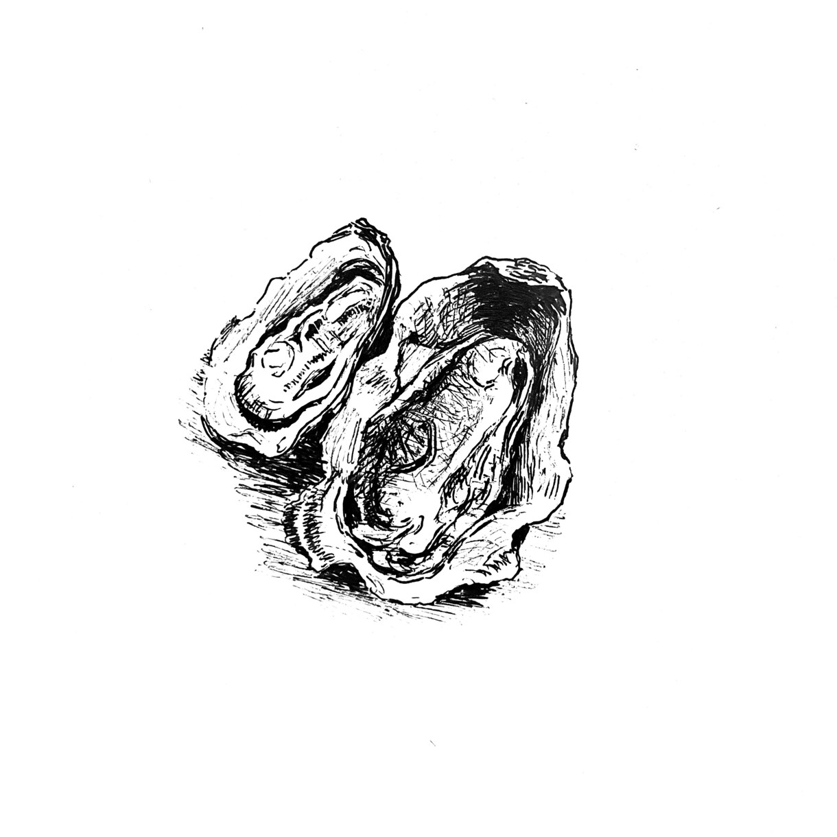 メニュー用ボールペンイラストをモノクロで描きます 手描きならではの味を活かしたレトロなボールペンイラストです！ イメージ4