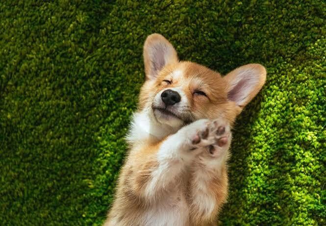 何でもお話聞きます 溜めないで思ってること全部話してください！ イメージ1