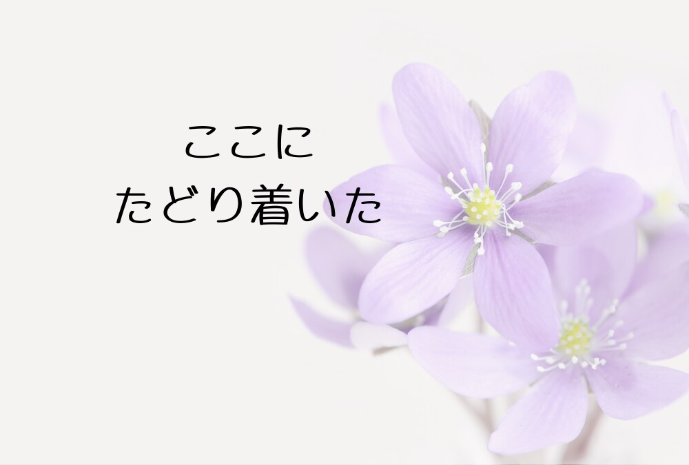 仕事・子育て・家事・妻！頑張るあなたに寄り添います ✿ 子育て世代【女性限定】モヤモヤ・イライラお聴きします イメージ7