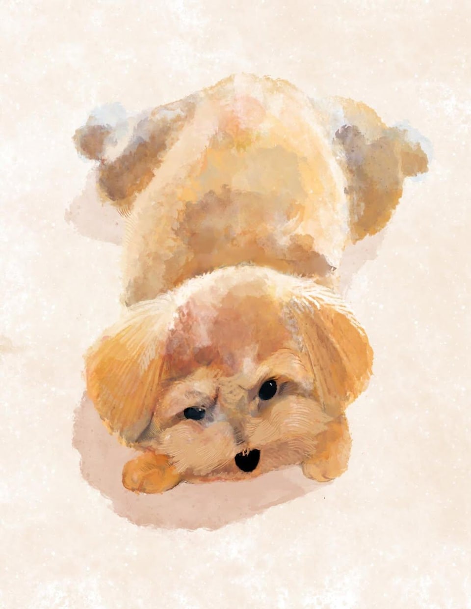 優しい色使いで皆様の愛犬を描かせていただきます みなさまの大好きなペットのイラストを描かせてください！ イメージ4