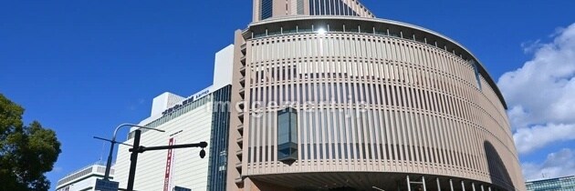 祈祷します。霊感には自信があります 動物タロットで霊感、霊視します イメージ2
